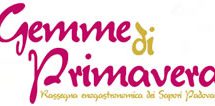 gemme2011_p