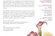 Fiore_in_tavola_programma_2