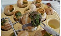 Escargots 3