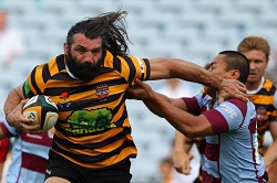 chabal