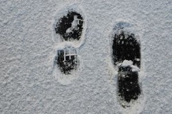 impronte-sulla-neve 21135434