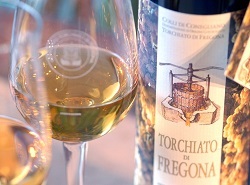 torchiatofregona