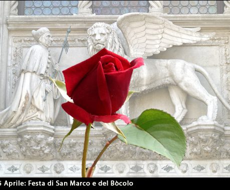 bocolo
